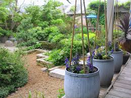 Rick Bayless Garden Chicago Growing Cucumbers In Old French English Laundry Dollies Vegetable Garden Design Herb Garden Design Container Gardening