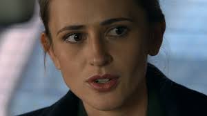 Who Played Detective Kate Lansing On Blue Bloods?