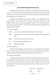 Umbi akar ialah akar yang tumbuh membesar karena berisi cadangan makanan. Ciri Bengkoang