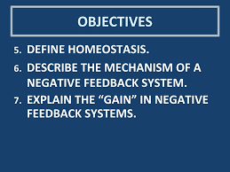 Physiology The Cell And Homeostasis Ppt Download