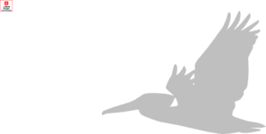 Pelican Svg Clip Arts Download Clip Arts Free Png Backgrounds