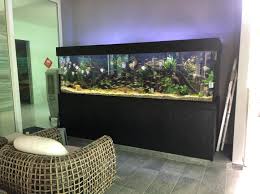 Check spelling or type a new query. Ss Aquarium Home Facebook