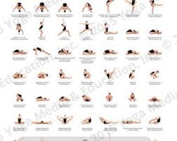 The Yoga Poster A Visual Guide To The Practice Of Yoga Etsy Basic Yoga Poses Basic Yoga Ashtanga Yoga Primary Series