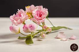 Cherry Blossoms Cherry Blossom Flowers Cherry Blossom Blossom