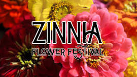 Zinnia Flower Festival