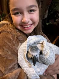 Spring Creek Greenhouse 🌱 All the mama cuddles with this sweet girl!  Stacey Schwartz