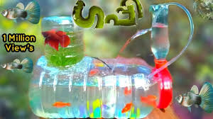 Guppy Fish Aquarium Making M4tech Vertical Aquarium Making In Malayalam Betta Fish Tank Youtube