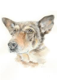 Each custom portrait is backed by a 100% satisfaction guarantee. Custom Pet Portrait Watercolor And Ink Watercolor Art Collectibles Bookanyexpert Com