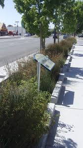 El Cerrito Green Streets Rain Gardens Jardim De Chuva Arquitetura Paisagista Drenagem Urbana
