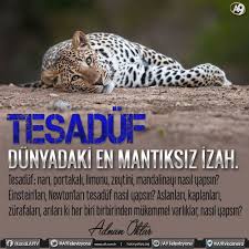 Tesaduf Dunyadaki En Mantiksiz Izah Tesaduf Nari Portakali Limonu Zeytini Mandalinayi Nasil Yapsin Einstein Lari Newton Lari Tesaduf N Einstein Evrim Zurafa