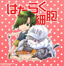 Hataraku Saibou Cells At Work Image 2380110 Zerochan Anime Image Board