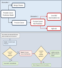 Although the percentage of cases in men is much lower than in women, male breast cancer accounts for a por. Identifying Prostate Cancer And Its Clinical Risk In Asymptomatic Men Using Machine Learning Of High Dimensional Peripheral Blood Flow Cytometric Natural Killer Cell Subset Phenotyping Data Elife