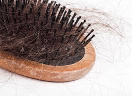 Mommy Is Your Hair Falling Out How Come The Shower Is Full Of Hair In 2020 Treat Hair Loss Fall Hair Hair Falling Out