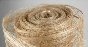 Arti kata kelapa (atau coconut, dalam bahasa inggris) dapat merujuk pada keseluruhan pohon kelapa, biji, atau buah, yang secara botani adalah pohon berbuah. Sabut Kelapa Sisa Kelapa Yang Banyak Manfaatnya Tarahap