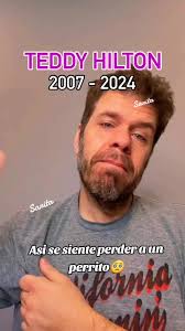 Perez Hilton Teddy Melcamp