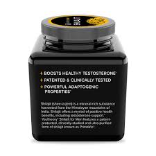 Image result for Shilajit