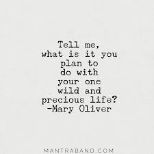 Nothing But Me Time To Fly Mary Oliver Quotes Life Quotes To Live By Life Quotes