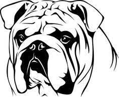 Bulldog Ingles Bulldog Drawing Bulldog Art Animal Stencil