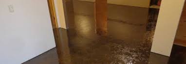 Dec 13, 2019 · laminate basement flooring precautions choose the right materials : Epoxy Flooring Blogs Epoxy Basement Flooring Des Moines