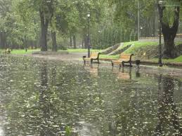 Raining Gifs Rain Day Giftsndays Explore and share the latest rain gif pictures, gifs, memes, images, and photos on imgur. raining gifs rain day giftsndays