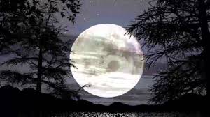 Ya lagu ini pastinya sering sekali dinyanyikan oleh kakek atau buyut kalian kan, ya emang karna lagu. Padhang Bulan Lagu Dolanan Youtube