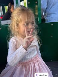 174 Ronert Circle Guntersville AL Preston Moore brought this deal to me We  have done several deals together We have 4 sold, have 2