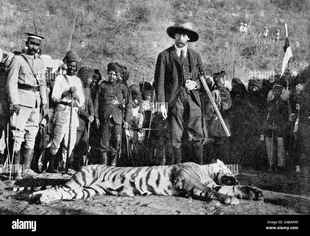 Tiger hunt hunting india Black and White Stock Photos & Images - Alamy