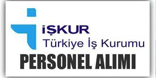 Tümü okur yazar olmayan okur yazar i̇lköğretim ortaöğretim (lise ve dengi) önlisans lisans yüksek lisans doktora. Turkiye Is Kurumu Iskur Is Ilanlari Is Basvurulari Iskur