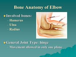 The throwing motion creates nearly supraphysiological levels of valgus stress on the medial elbow, placing these athletes at high risk of ucl injury. The Elbow Ulnar Collateral Ligament Sprain Elbow Dislocation Ulnar Nerve Irritation Emily Gavlick Ppt Video Online Download