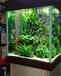 Diy Fish Tank Decorations Themes Aquascaping Fresh Water Decor Ideas Small Aquascaping Homemade Creative Aquasc Diy Fish Tank Aquarium Fresh Water Fish Tank