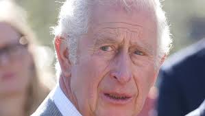 Prince Charles and Camilla meet Ashling Murphy's family
