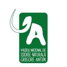 Legături spre harta obiectivelor turistice din bucuresti, hoteluri, restaurante, afaceri muzeul a avut mai multe locații. Muzeul NaÅ£ional De Istorie NaturalÄ Grigore Antipa Nachalo Facebook
