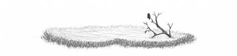 கோலம்), also known as muggu (telugu: How To Draw Grass Ground And Rocks