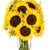 Use this site to create online ecards with a floral or postcard image and your personal message! Https Encrypted Tbn0 Gstatic Com Images Q Tbn And9gcqpf2rtk4rziqclsz85tnvuqxodsr8hruhntyop9rbr Nrh Mhe Usqp Cau