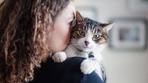 Café is a pet food assistance program for low income pet owners. Coronavirus Covid 19 Faq The Humane Society Of The United States