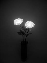 minuto de sabedoria 63 iluminacao de neon iluminacao de jardim ao ar livre estetica vermelha