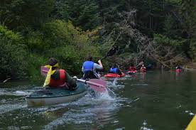 Kayaking Canoeing Paddling Siuslaw Watershed Council