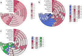 Plant cell wall degrading enzymes. Genomic Characterization Of Plant Cell Wall Degrading Enzymes And In Silico Analysis Of Xylanses And Polygalacturonases Of Fusarium Virguliforme Bmc Microbiology Full Text