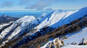 Heavy rain (total 0.8in) on wed night. Mount Buller Day Trip To The Snow Epic Deals And Last Minute Discounts