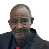 Louis James Hodge Obituary (2025)