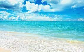 Check spelling or type a new query. Free Wallpaper Sea Live Worth Watching Wallpapers Of Sea View You Will Enjoy It Nextpit Forum
