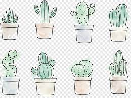 Check spelling or type a new query. Potted Cactus Plants S Cactaceae Drawing Painting Cactus Watercolor Painting Color Happy Birthday Vector Images Png Pngwing