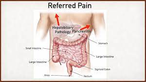 Look down at your tummy, and mentally divide the area from the bottom of your ribs down to your pubes into four quarters. Abdominal Pain Causes And Anatomy Right Vs Left Male Vs Female Upper Stomach Quadrants Ezmed