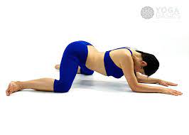 In this pose, your body posture resembles a frog, so that's why this asana is called mandukasana. Downward Facing Frog Pose Adho Mukha Mandukasana Instructions Photos Yoga Basics