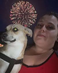 Lost husky in Suisun's Emperor Drive area