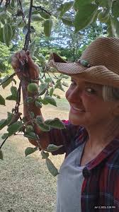 Bird watching and gardening experiences with unexpected visitors