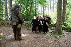 Some cute and cuddly, others mean and nasty, and some just outright deadly. Arriving At Care Of Magical Creatures Harry Potter Fan Zone