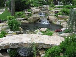 Backyard Waterfalls And Ponds Jpg 1 067 800 Pixels Waterfalls Backyard Ponds Backyard Waterfall Fish Pond Gardens