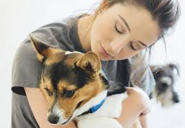 All puppies need a series of immunizations prior to 12 weeks of age. 5 Vaccines Your Social Dog Should Be Current On Dogtopia