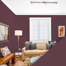 This dynamic duo creates an eclectic vibe and is one way to spice up traditional decor. Purple Paint Colors Interior Exterior Paint Colors For Any Project